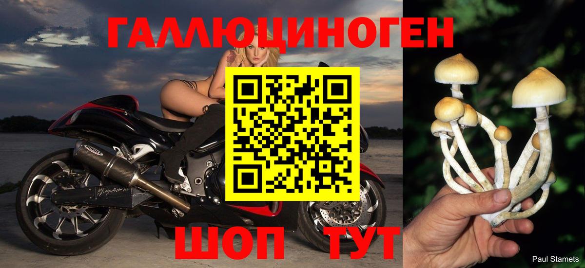 Псилоцибиновые грибы прущие грибы Луга